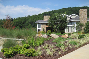 Allpro Landscape Design